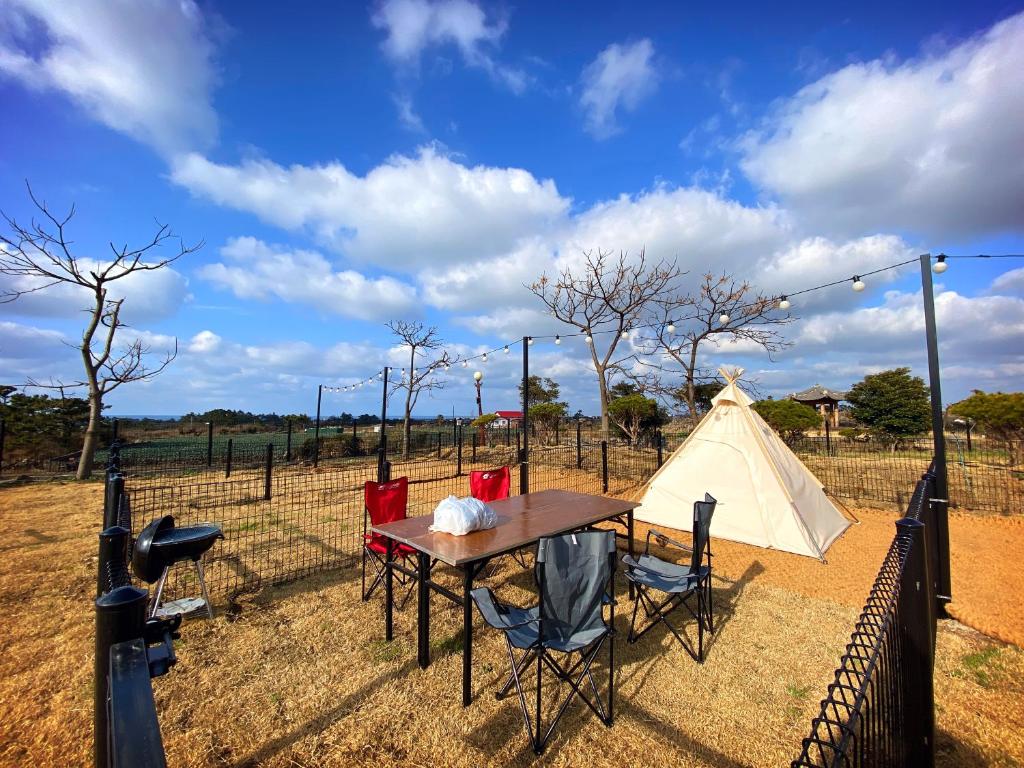 Best Hotels in Jeju, South Korea – Hi Jeju Hotel Review