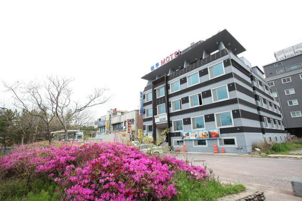 Best Hotels in Boryeong, South Korea – Venus Motel Review