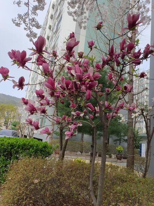 Best Hotels in Daegu, South Korea – Comfortable Accommodation near Chilgok Kyungpook National University Hospital Review