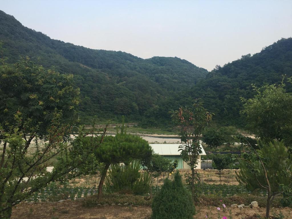 Best Hotels in Jeongseon, South Korea – Byeolpumeungang Pension Review