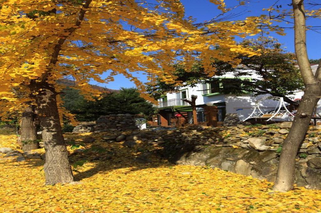 Best Hotels in Gapyeong, South Korea – Caribbean Pension Review