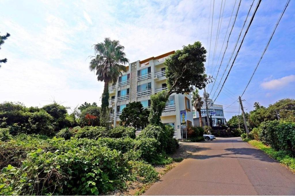 Best Hotels in Jeju, South Korea – Livingstone Pension Review