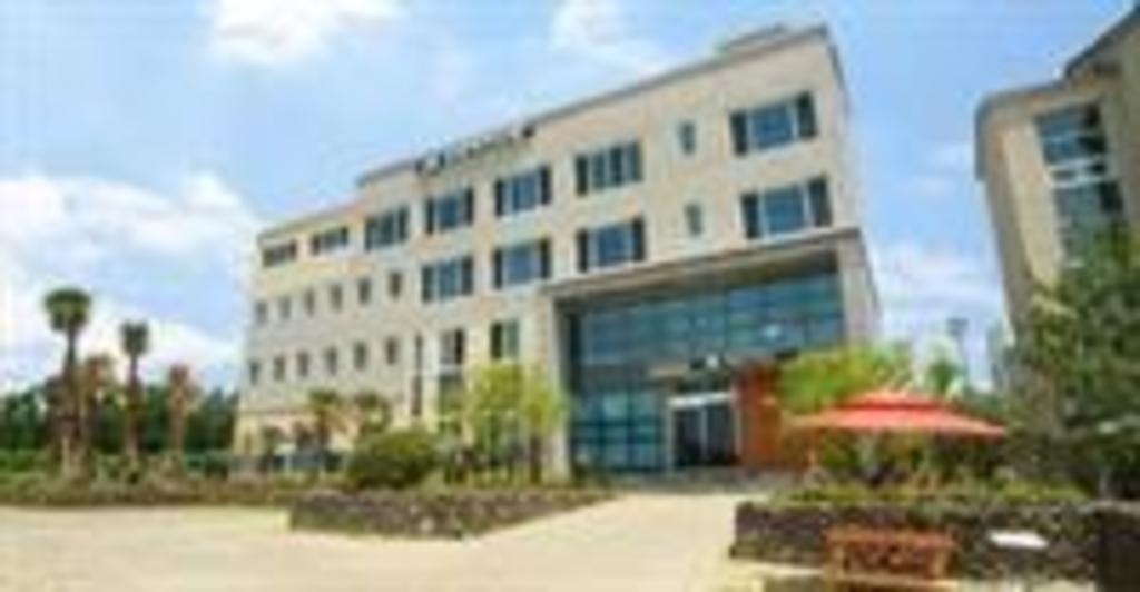 Best Hotels in Jeju, South Korea – Hotel The Grand Jeju Jungmun Branch Review