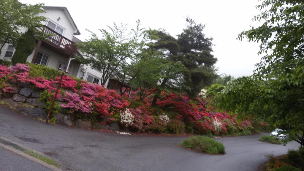 Best Hotels in Boryeong, South Korea – Daecheon Ocean Hill Pension Review
