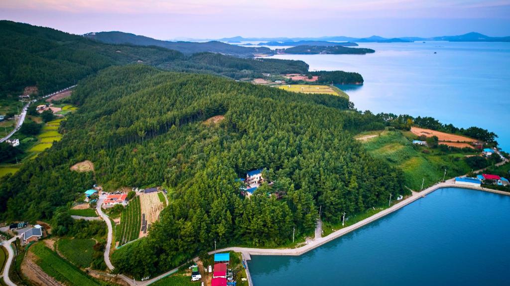 Best Hotels in Taean, South Korea – Kims Bay Pension Review