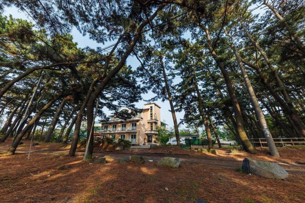 Best Hotels in Boryeong, South Korea – Solbat Beach Pension Review