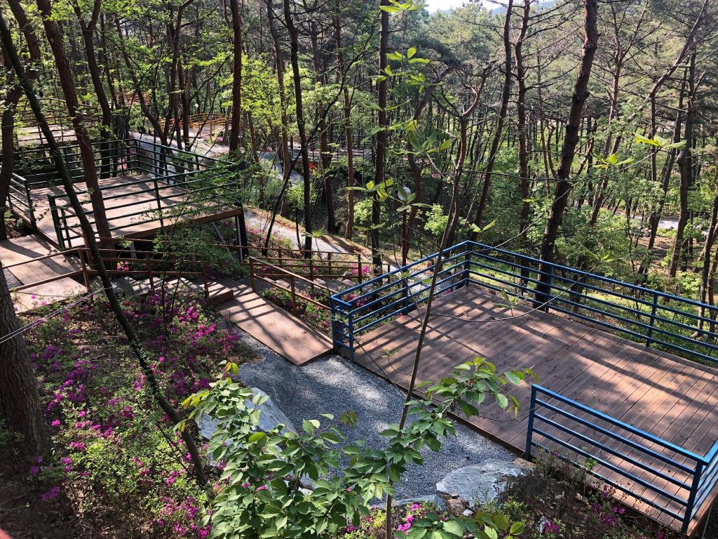 Best Hotels in Taean, South Korea – Olleu Campingjang Review
