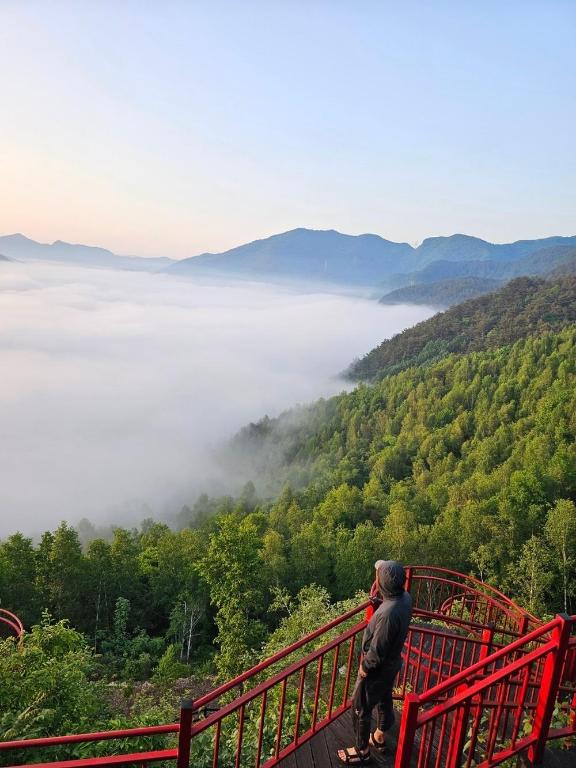 Best Hotels in Jeongseon, South Korea – Romijian Garden Mountain House Review