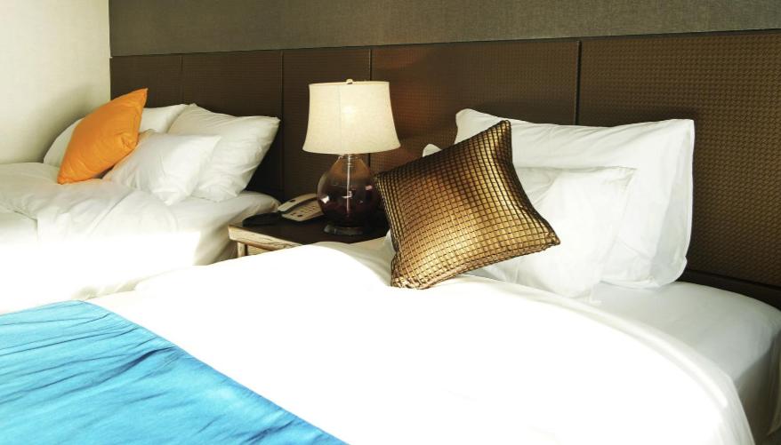 Best Hotels in Jeju, South Korea – Login Hotel Review