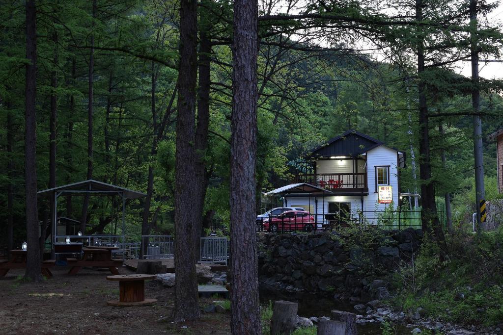 Best Hotels in Gapyeong, South Korea – Yedang Pension Review