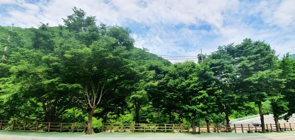 지리산 연리지 펜션 image