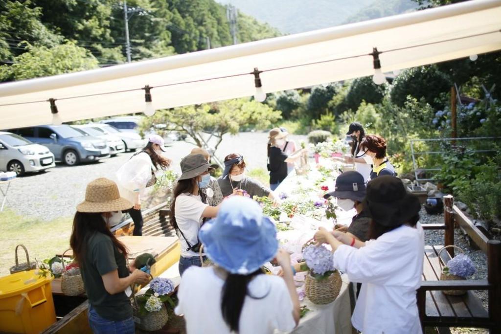 소금꽃정원 image