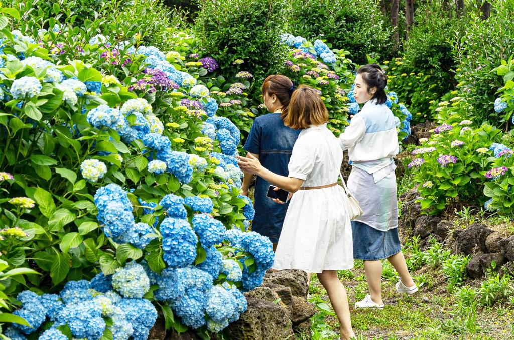 스파벨리스 펜션 image