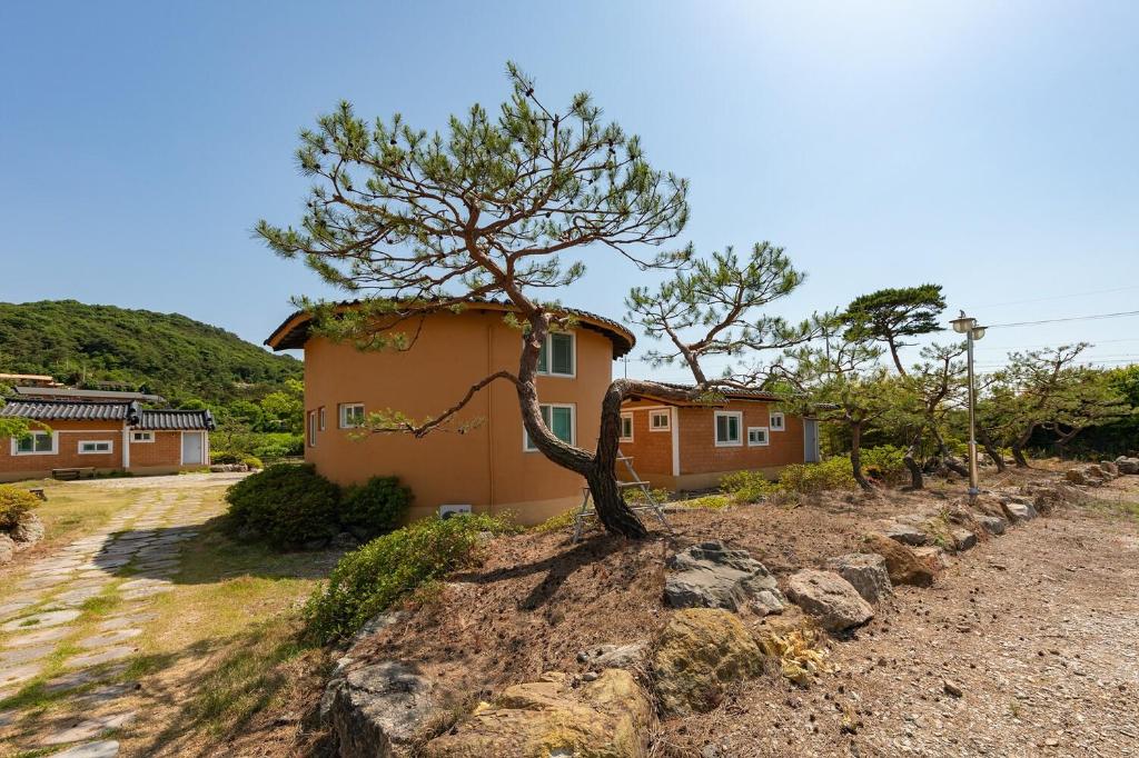 황토 복분자 펜션 image