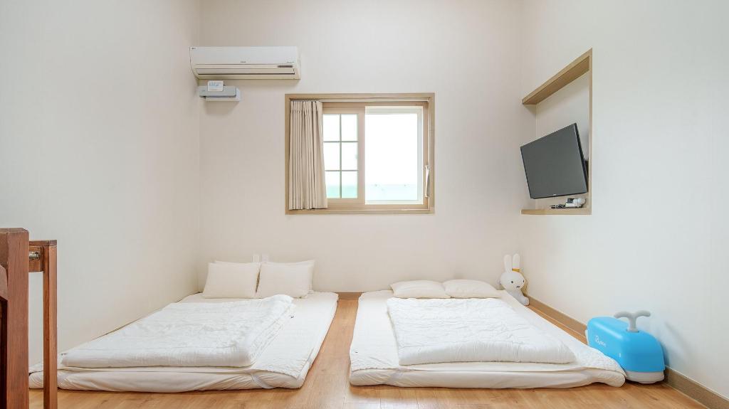 제주 키즈 앤 돌핀 펜션 image
