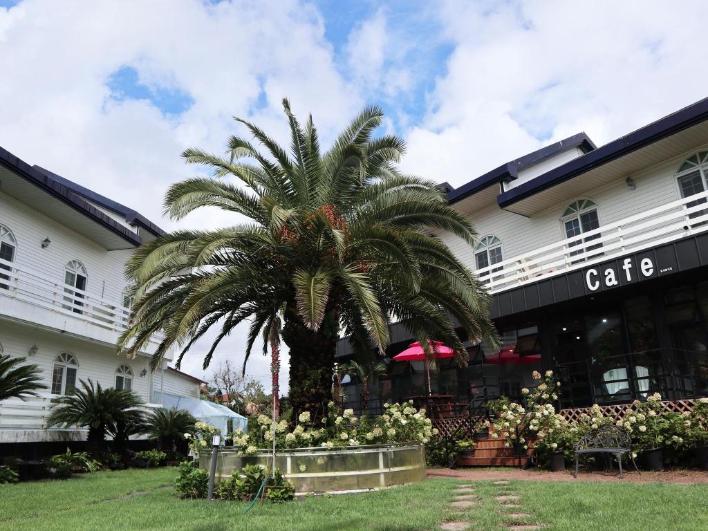 Jeju Resortel image