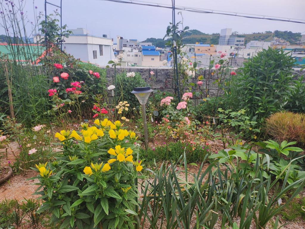 동문동의 프라이빗 하우스 (100m², 침실 2개, 프라이빗 욕실 2개) image