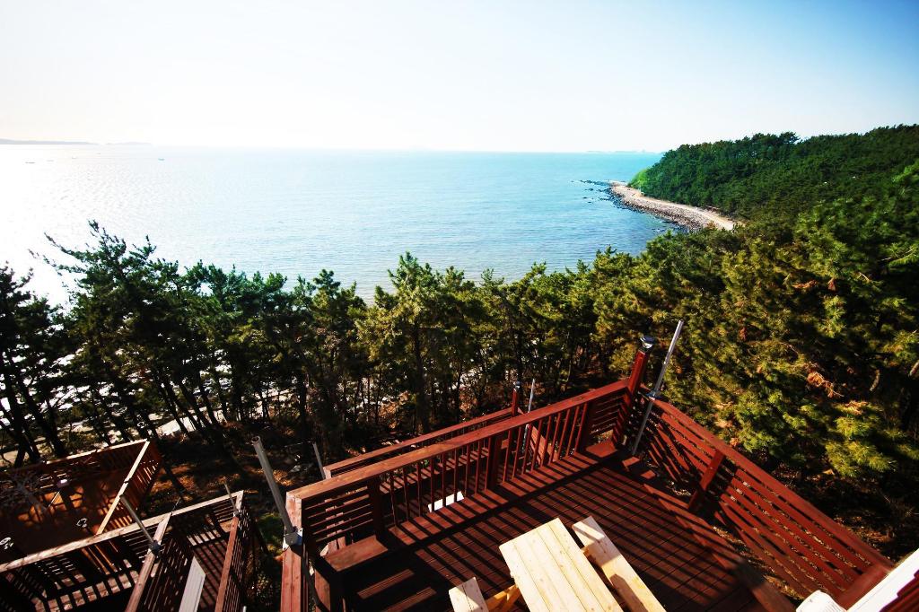 충청 서천 별빛 정원 펜션 image