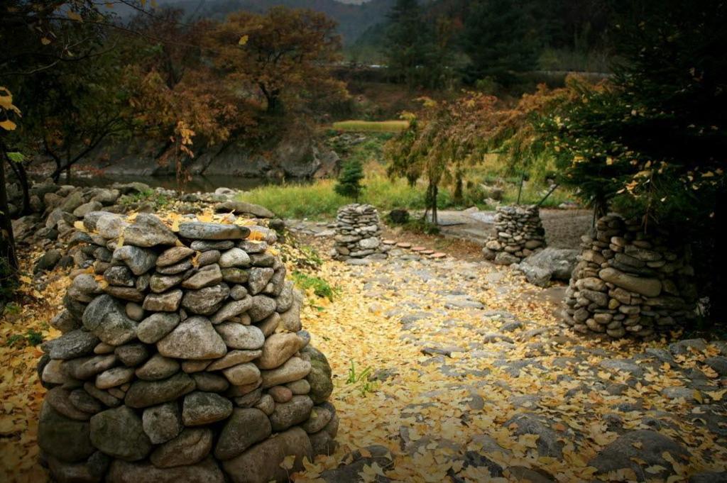 카리브 펜션 image
