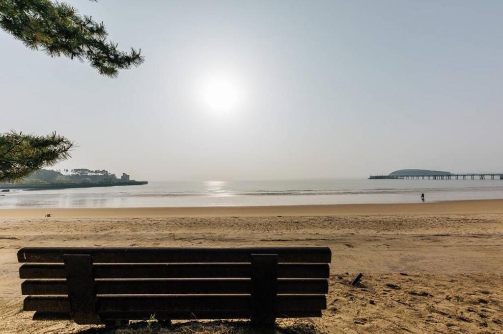 솔밭 비치 펜션 image