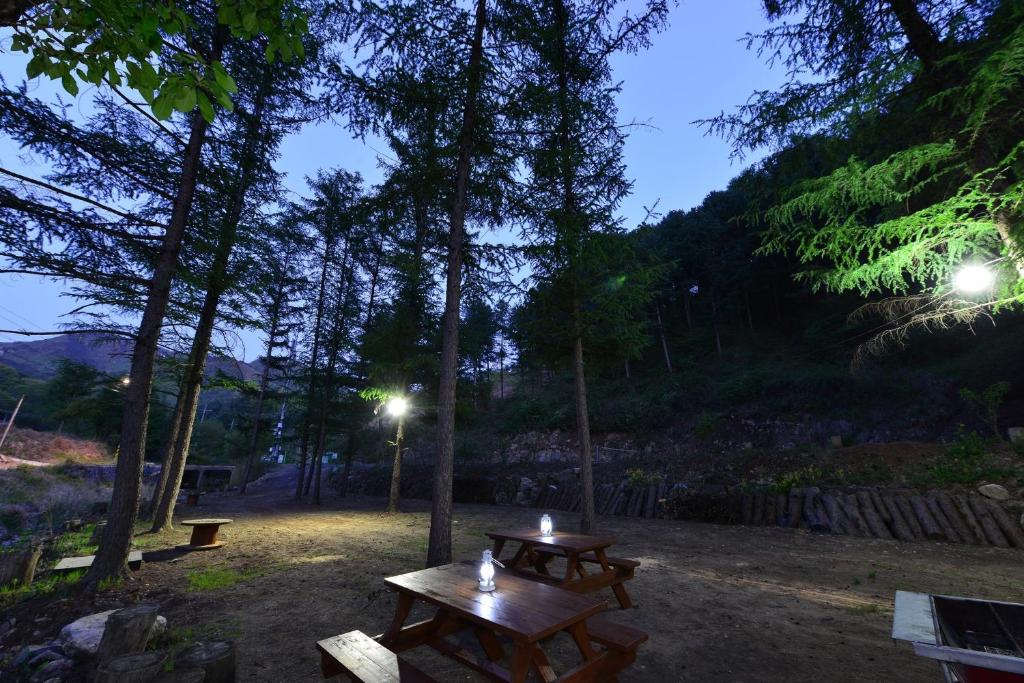 봉미산 계곡 예당 펜션 image