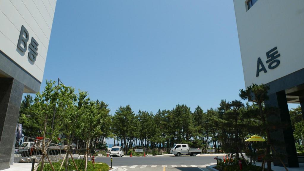 속초 오션비치 image
