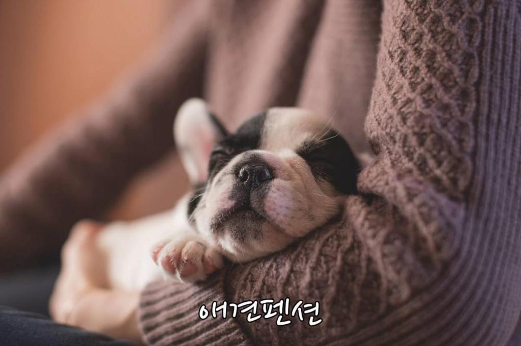 프로방스 펜션 image