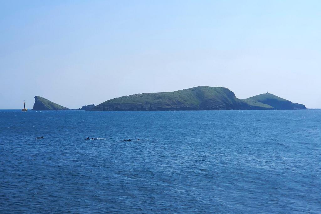 제주 늘보의 오후 펜션 image