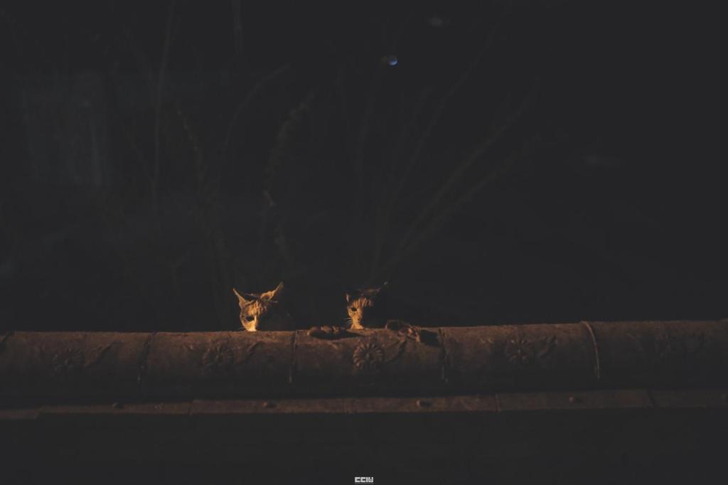 연경당 image