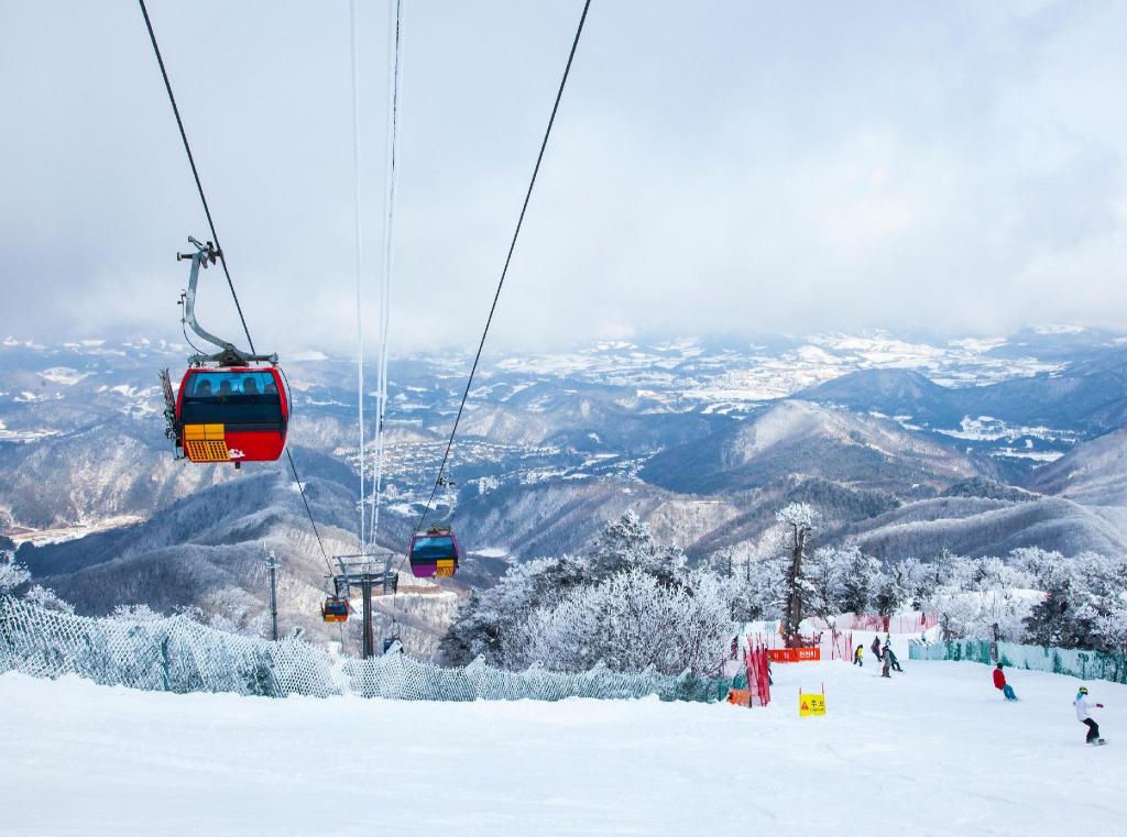 Best Hotels in Pyeongchang, South Korea – Korea Quality Elf Hotel Review