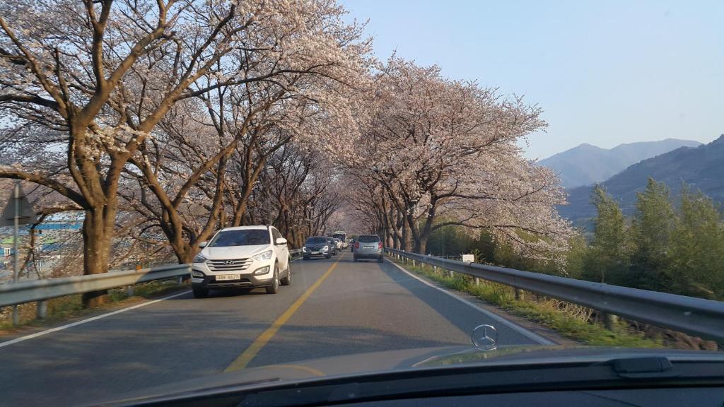 Best Hotels in Hadong, South Korea – Mokkoji Pension Review