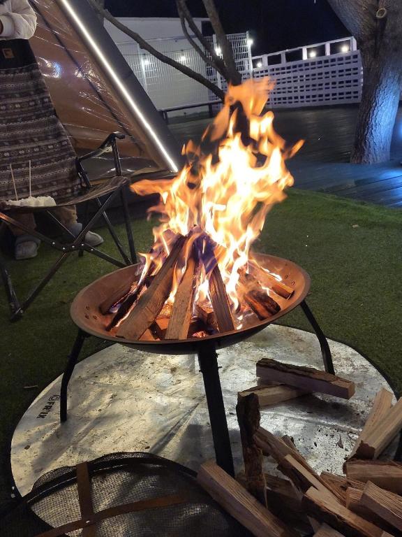 Best Hotels in Gyeongsan, South Korea – Cheongdo Provence Glamping Review