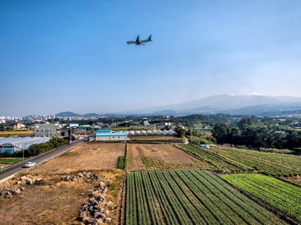 제주인 호텔 image