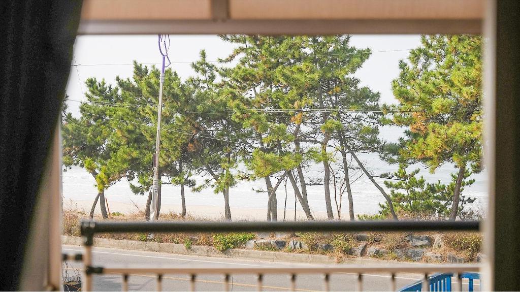 보령 레인보우 풀빌라 image