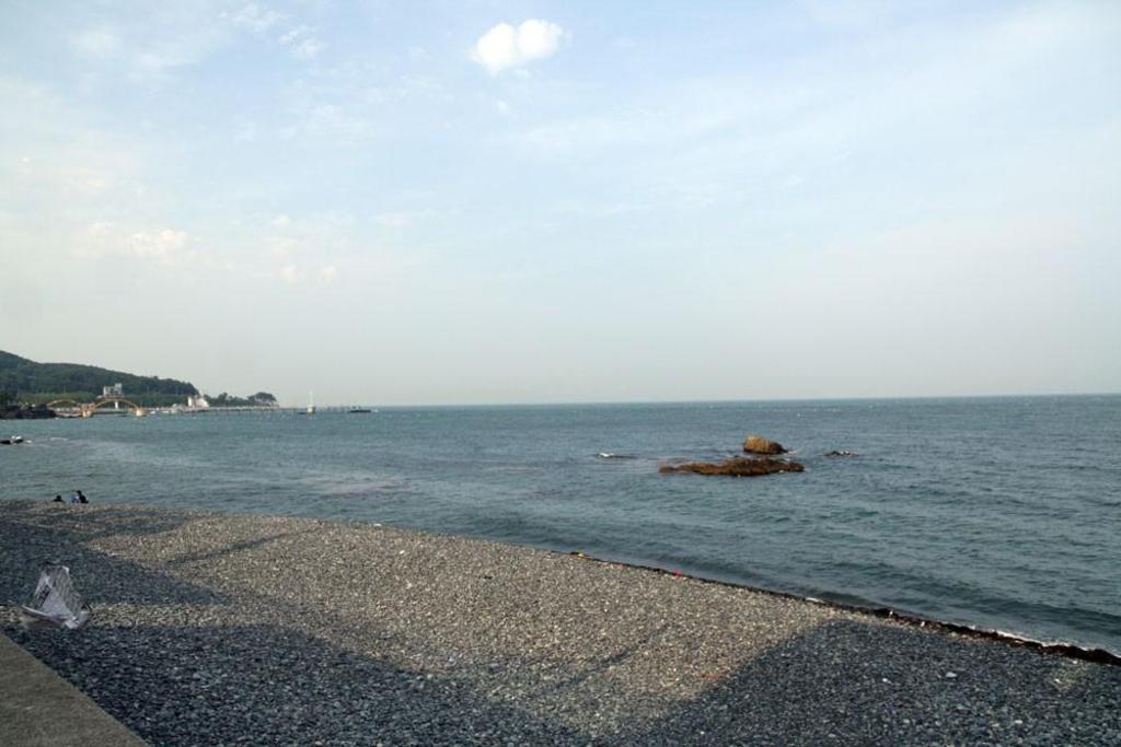 춤추는 고래 펜션 image