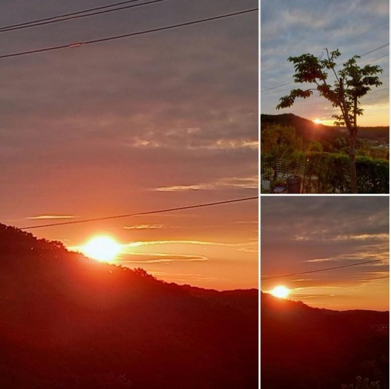 쫑이와 메리 애견 펜션 image
