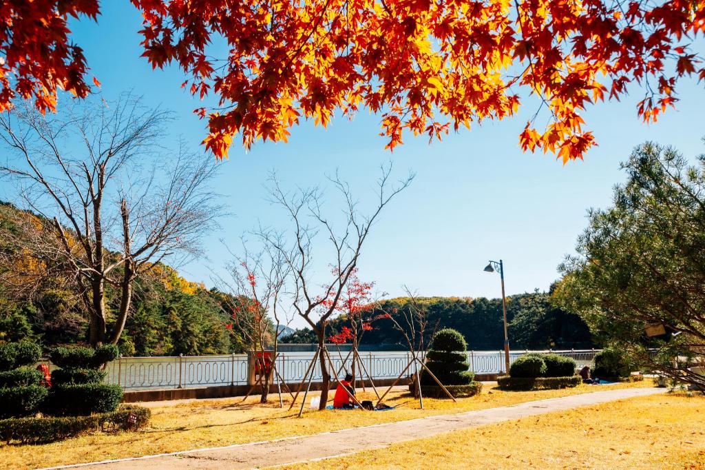 호텔 엘레펀트 image