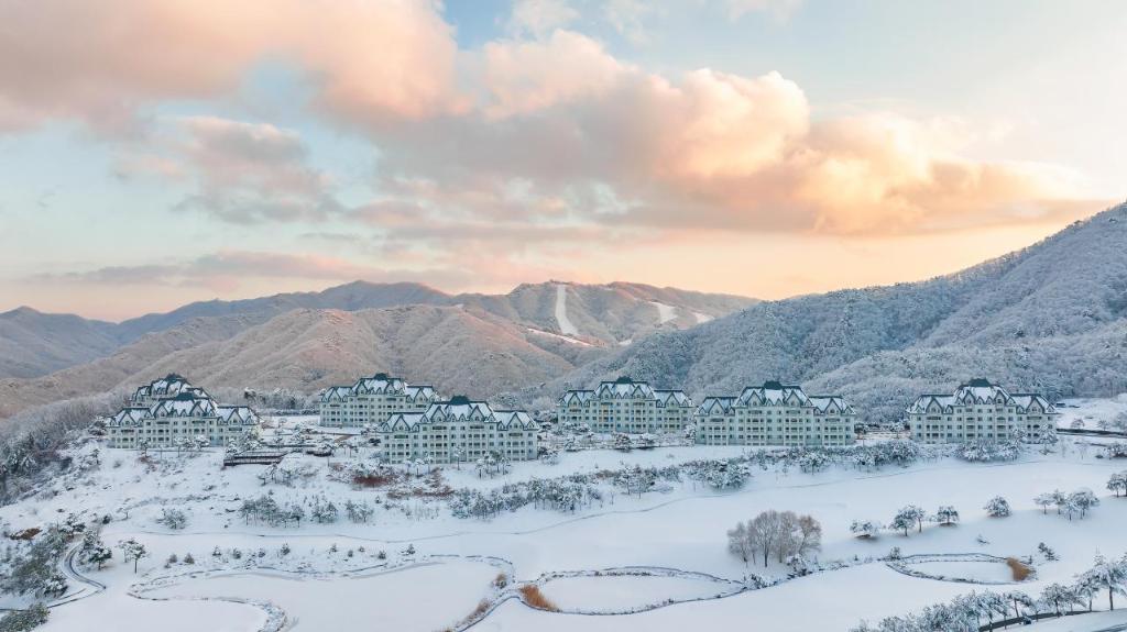 소노펠리체 빌리지 비발디파크 image