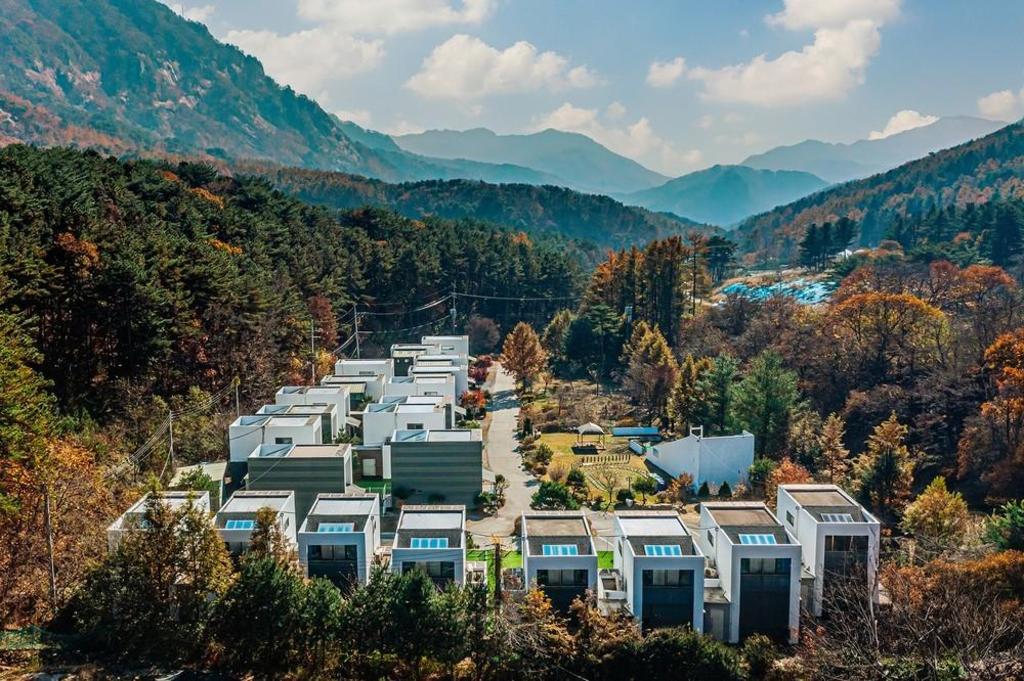피플 애견 스파 펜션 image