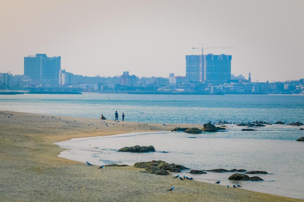 해솔내음 펜션 image