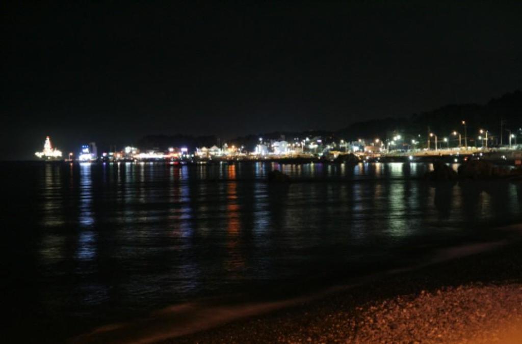춤추는 고래 펜션 image
