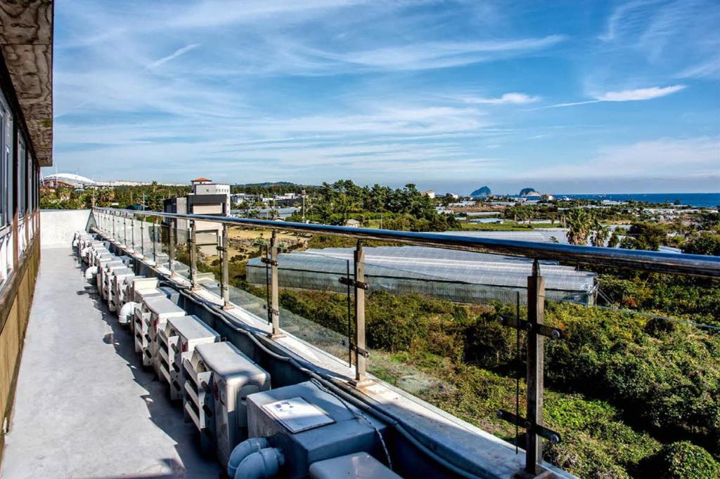 Best Hotels in Jeju, South Korea – Olleyo Resort Review