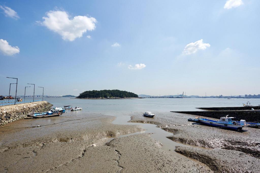 인더문 4호 image