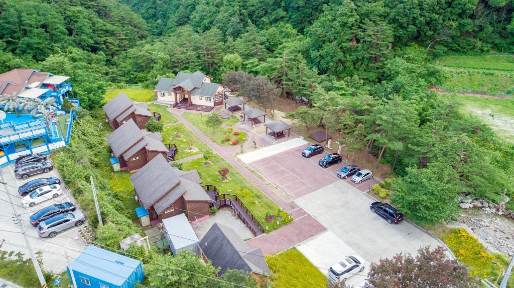 강릉 야생화 마을 image