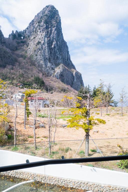 코스모스 울릉도 image