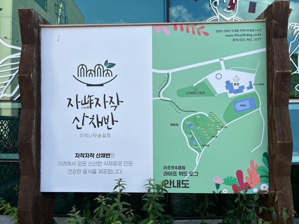 라이프 위드 도그 image