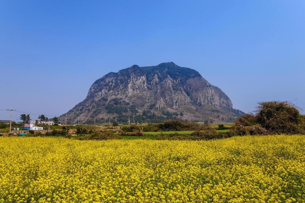 수 펜션 image