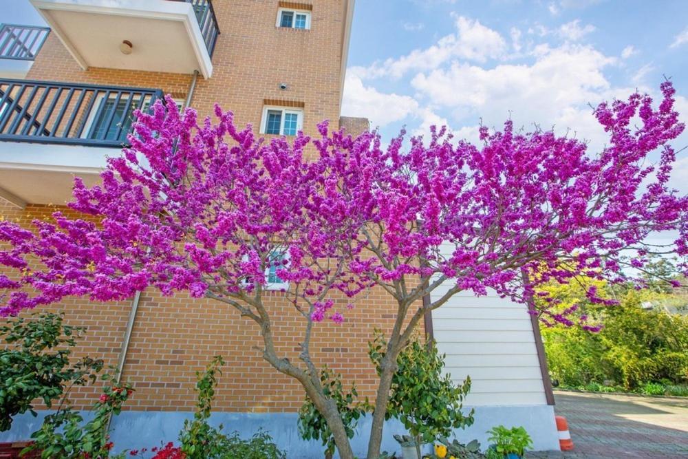 솔바람소리 펜션 image