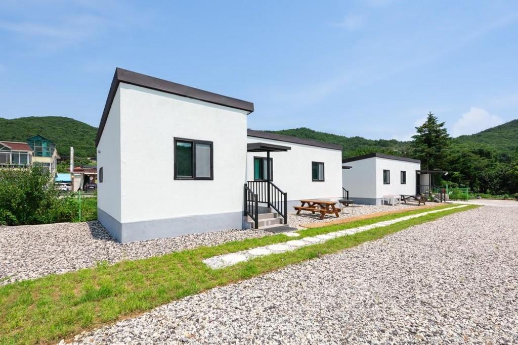 포그니 image