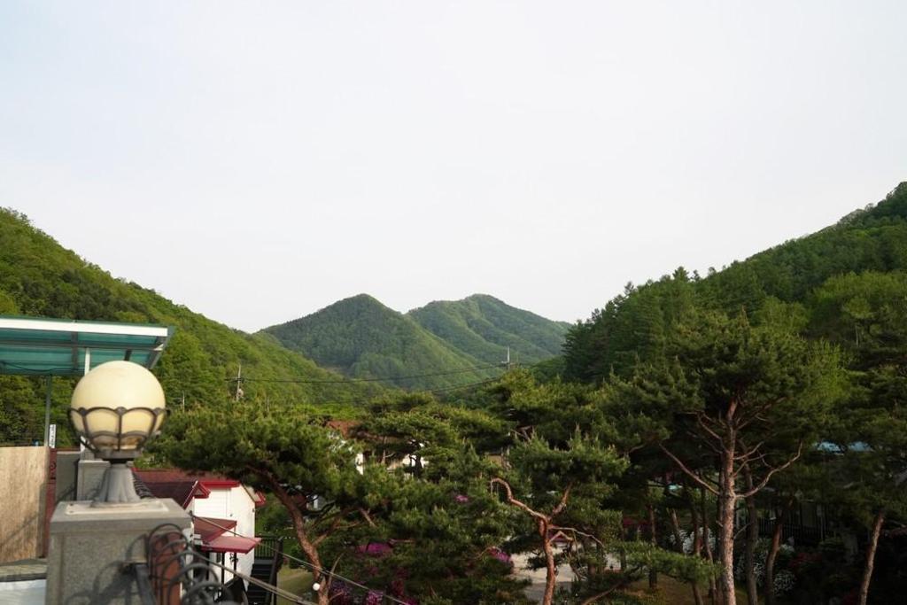 인앤인 펜션 image